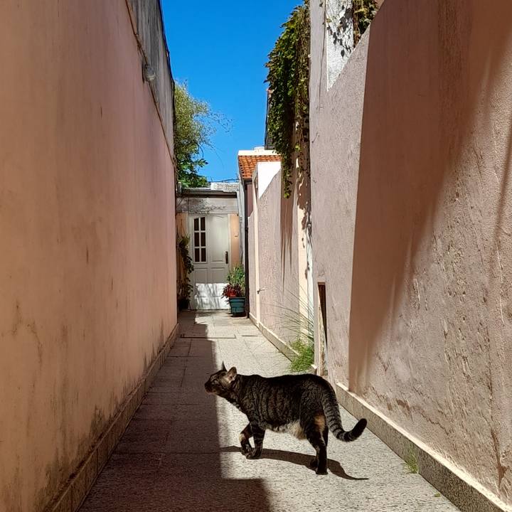 197d5a26 c1bb 4d9a 90c9 b192839a068f 1773106917643