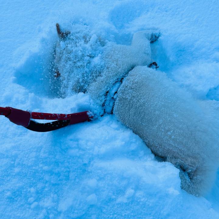 197d5d7c 3907 4c53 afdc 396cdfcecda5 1710028187485