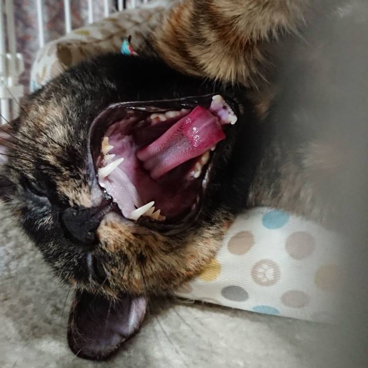 197d9dab 2185 47ee 92ab 3d3b49d51550 1565532989709