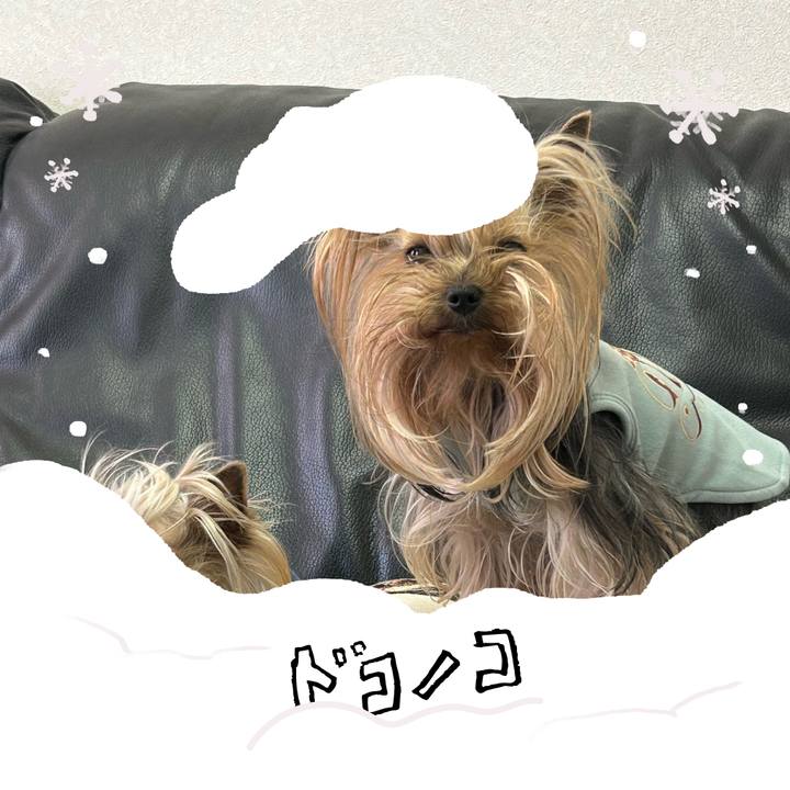 197da5f9 2d59 432e 96d9 7124a46dff43 1771830544791