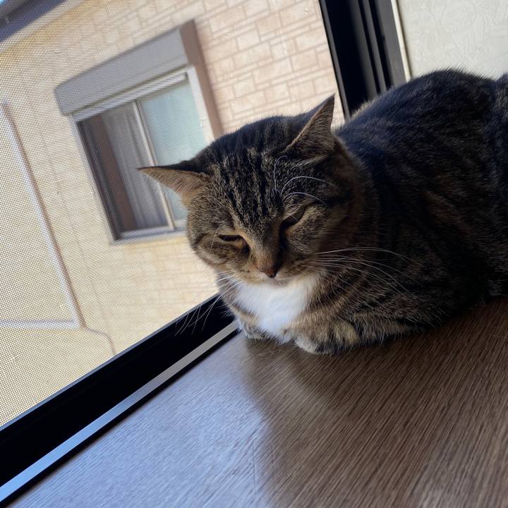 197dd4a8 ca8f 470a 86f3 ea04d44c952c 1590299540752