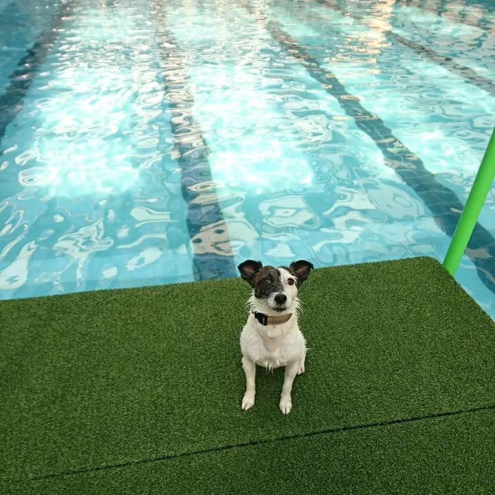 197dd684 a1a2 4482 8bc2 bd7656ff942a 1524294892111