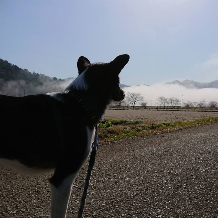 197e0748 8ba0 449c 84fd e9eb7c43b2e0 1553081678596