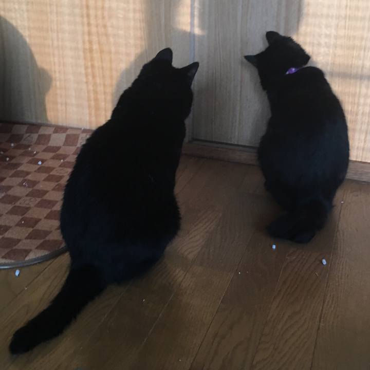 197e1b11 2d37 4fb1 9a36 b352e73b688a 1532352391242