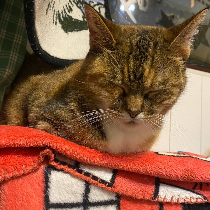 197e2485 5b8d 4de0 af28 ffc40c68bd43 1637338426347