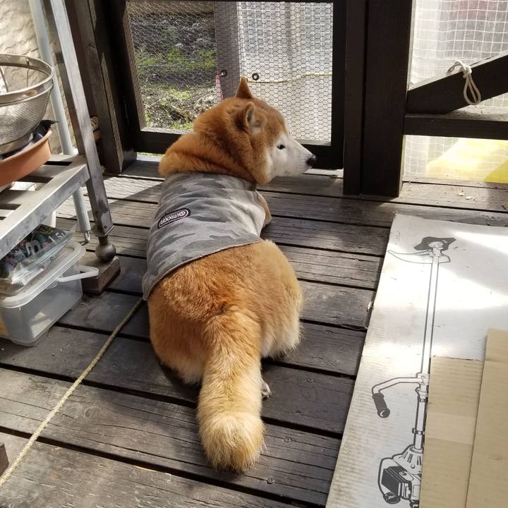 197e47ba b11a 44e7 8f5b 958173b2d07a 1679359657500