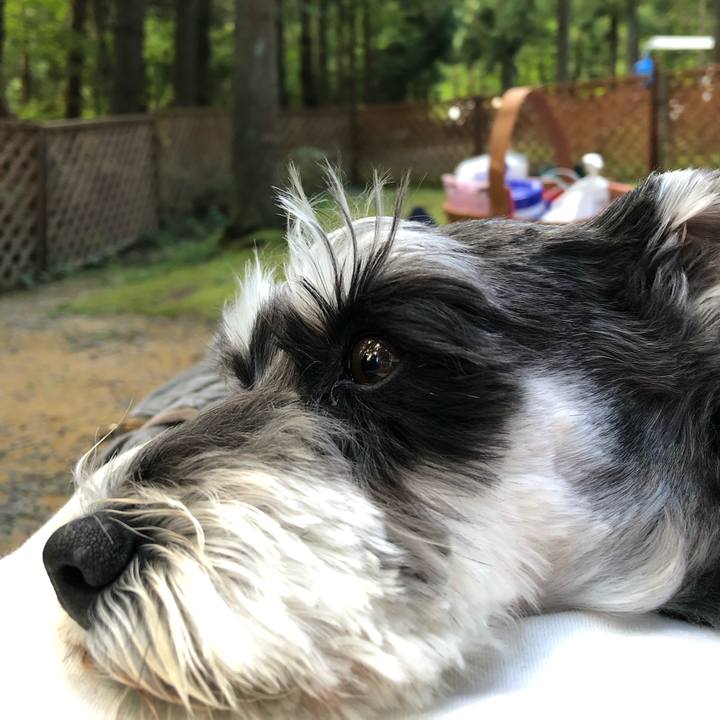 197e5b75 891a 4f39 bcf2 a3f0485e2376 1658560942110