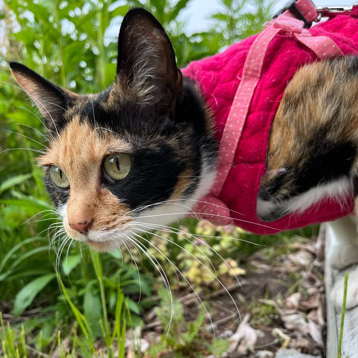 197e8a65 3a2b 45a0 8233 255c8cbffefb 1653001268480