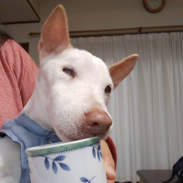 197ea95f 71c1 4d41 a9bd 868dddb18ee6 1548112828593