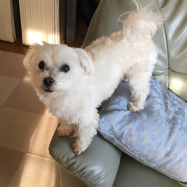 197eaac3 8c0e 43b2 8e38 33e4552c44b0 1555155014305