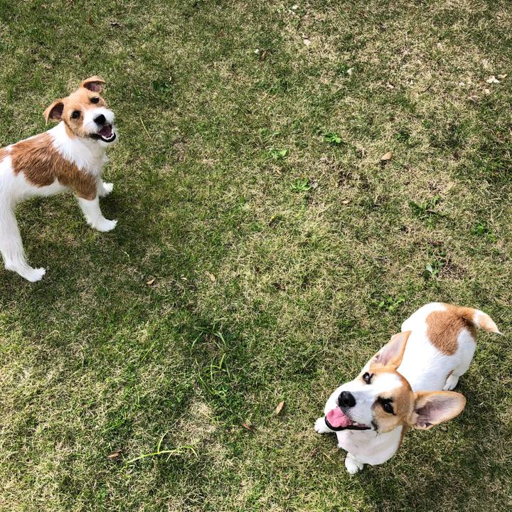 197ef885 c8cc 4e9d a5cd eb3b7688dad6 1572871375948