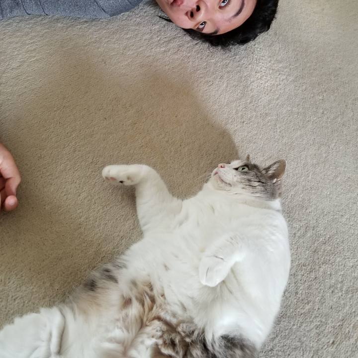 197f3422 70e5 4339 8cd0 61065ffeeb2f 1659540723400