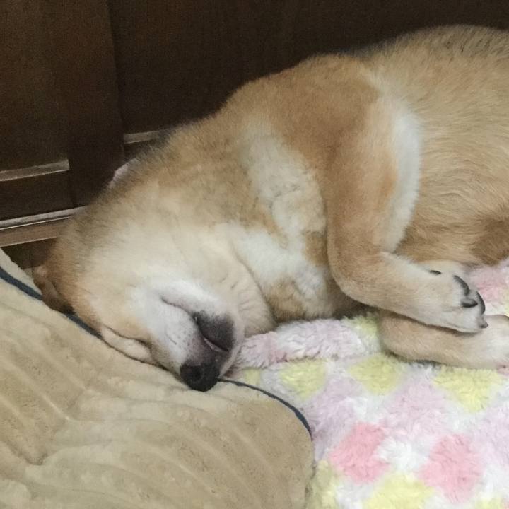 197f684b 9453 4b9e bf99 a3cefd0f8fac 1593301562722