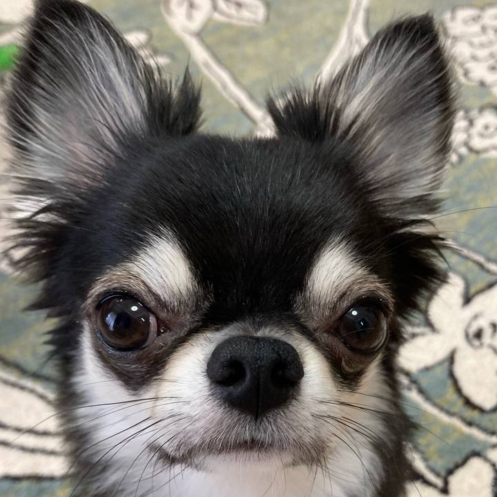 197f952b 7737 4b33 bc13 fce8e88bd8de 1627686797249