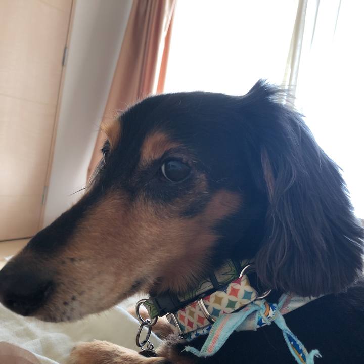 197fab37 2645 4982 b30d fe17b88cd531 1559597256380