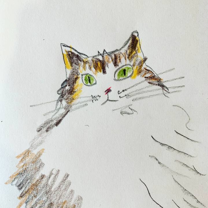 197fddc0 b7e7 46af b052 61f3b0348a2e 1592739109095