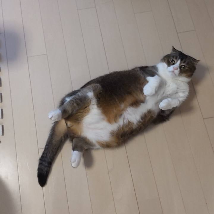 197feb44 41ae 4c44 b15c 07331b0b9f8c 1621065410246