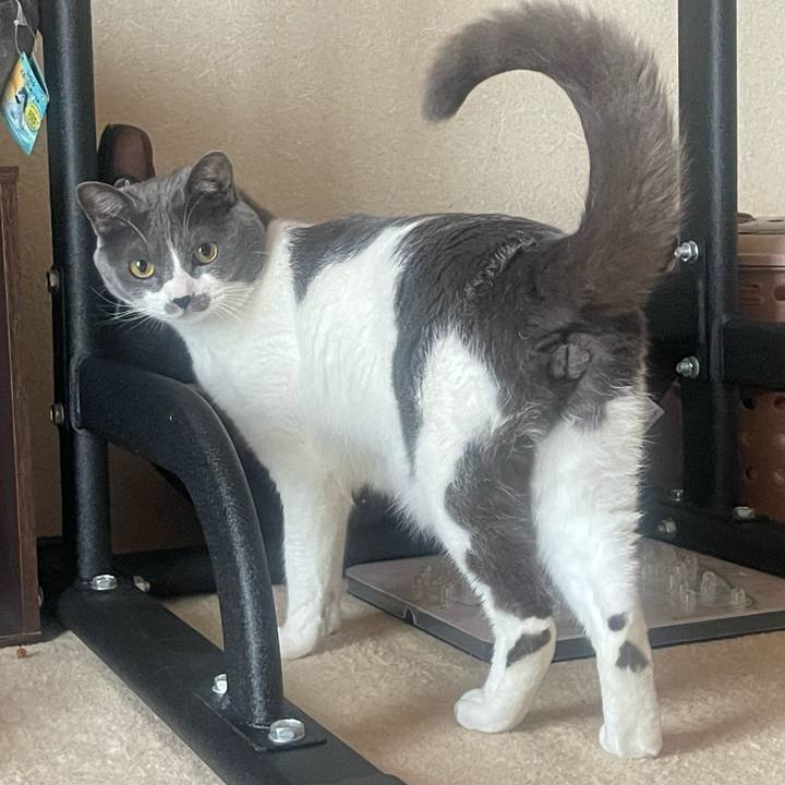 19803ef9 3b90 470a 9bc5 80a0e2c76086 1647929817844