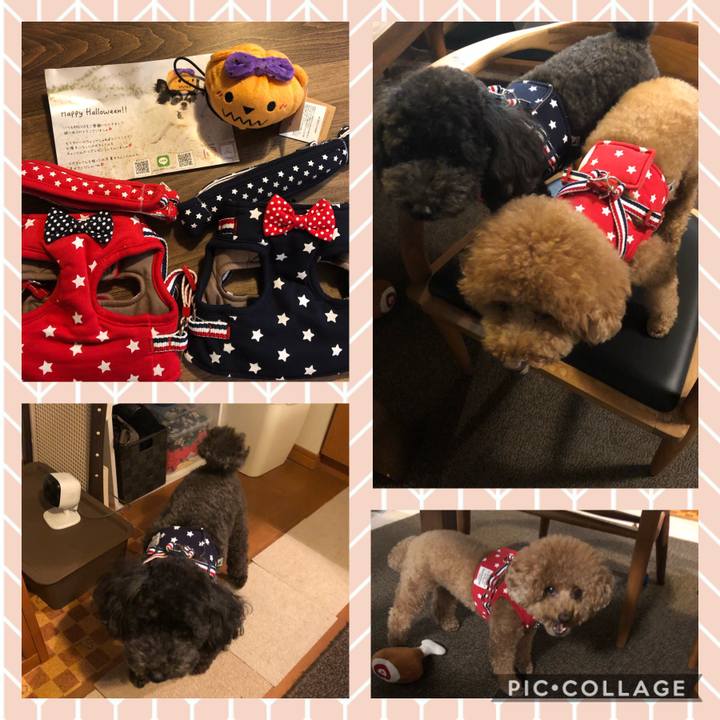 19804aa2 077d 4d73 9b1d d2ba2ebadd6b 1600388689161