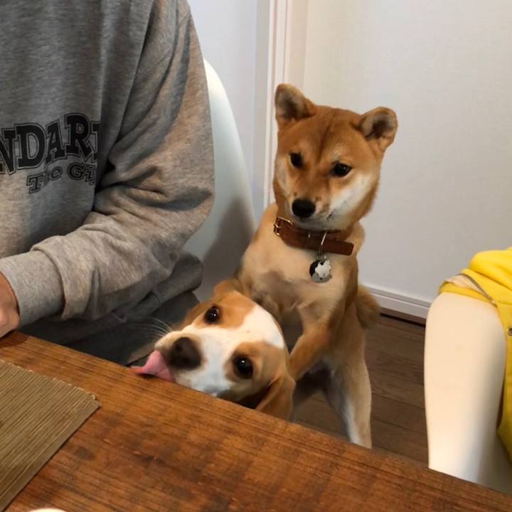 1980632d e551 458f aac6 25c064a682f2 1539135176468