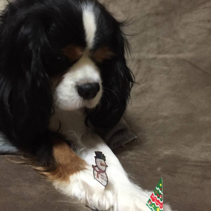 19807589 247c 4ef0 b4f3 32b4ad913370 1514200751191