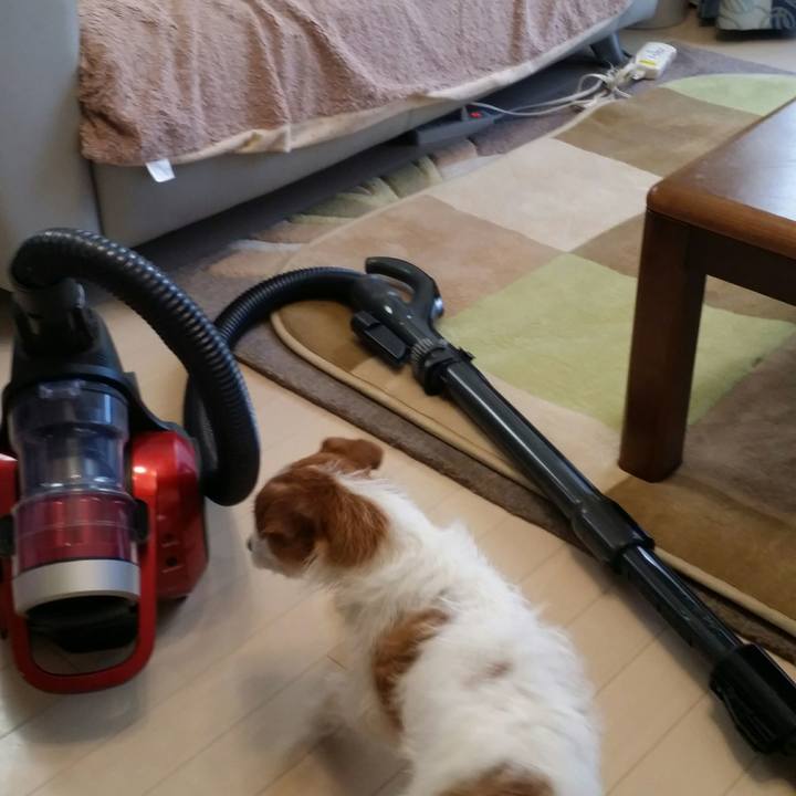 1980c1f7 a720 4daa 8d78 f5ea0e5793b1 1514503537333