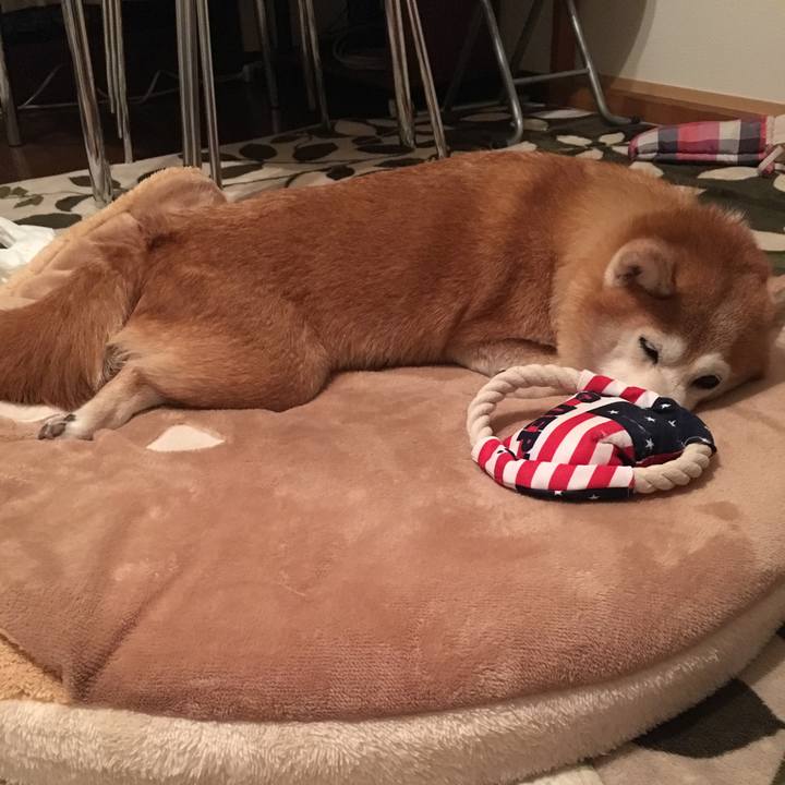 1980d419 e7f9 4e71 ae37 1a2ace4a614a 1525966995215