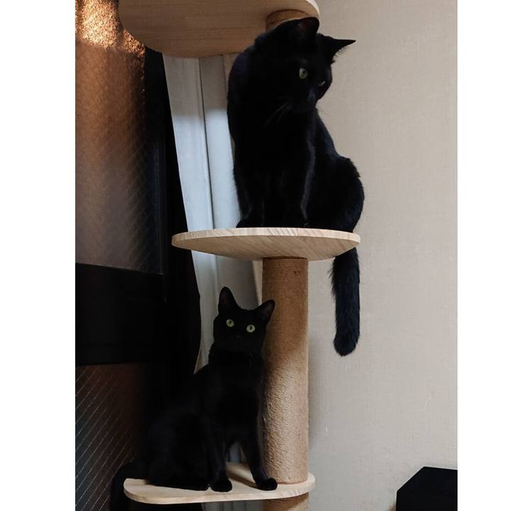 1980e220 10ee 4974 9f13 55713fdec39f 1572479447549