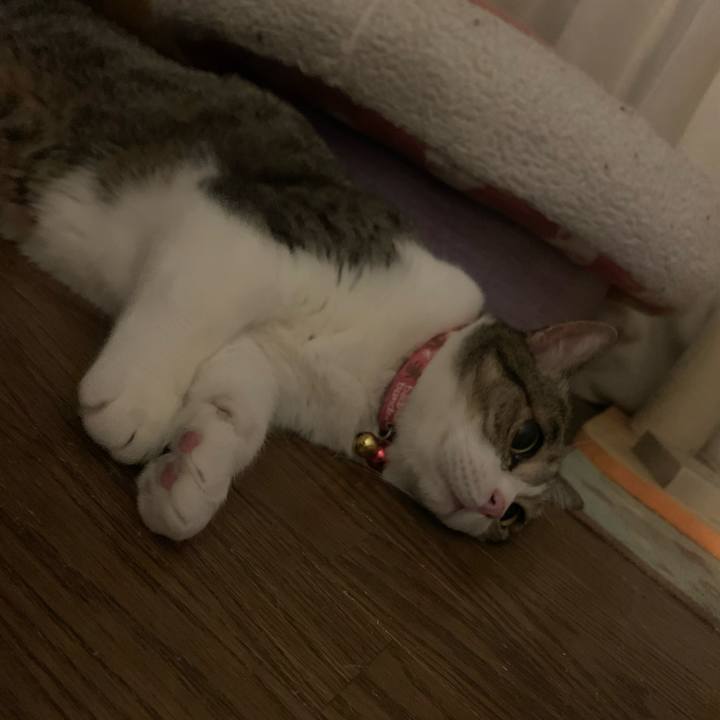 1980f7fa 5269 4134 8a18 01215eadeaa6 1647782882981