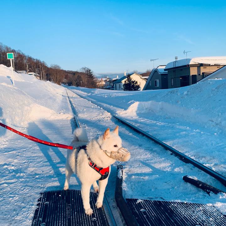 19813634 3a53 4aa5 928c e50d481015cb 1677451504230