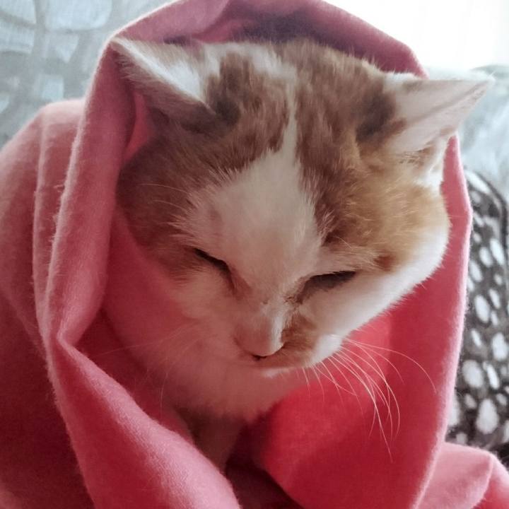 19814647 f3c3 47c3 84c2 456fde44fde6 1577945123805