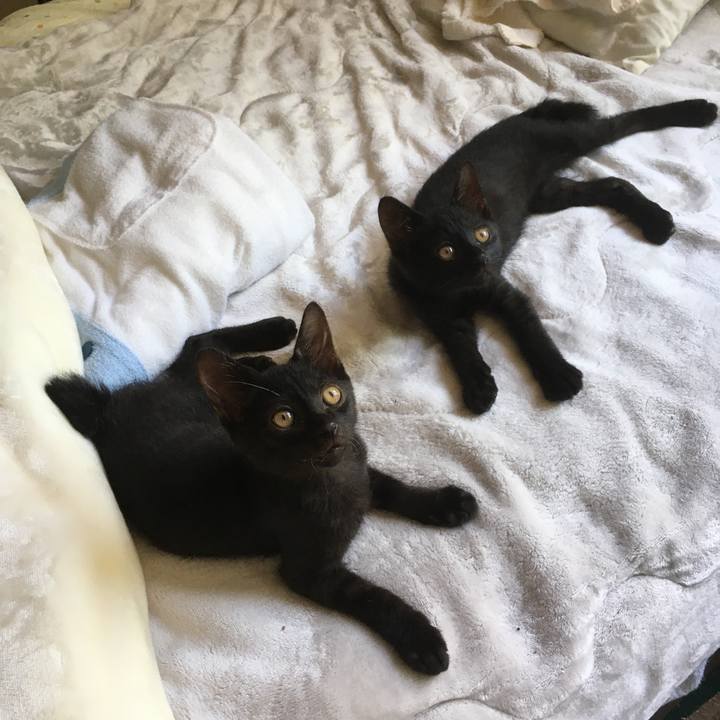 19814847 d037 4c99 aaf1 8108e440b8d1 1626687216606