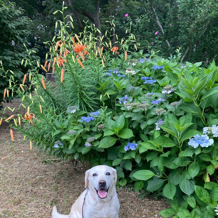 19815bc8 d8da 468b a71a e8e84868adaa 1751861131684