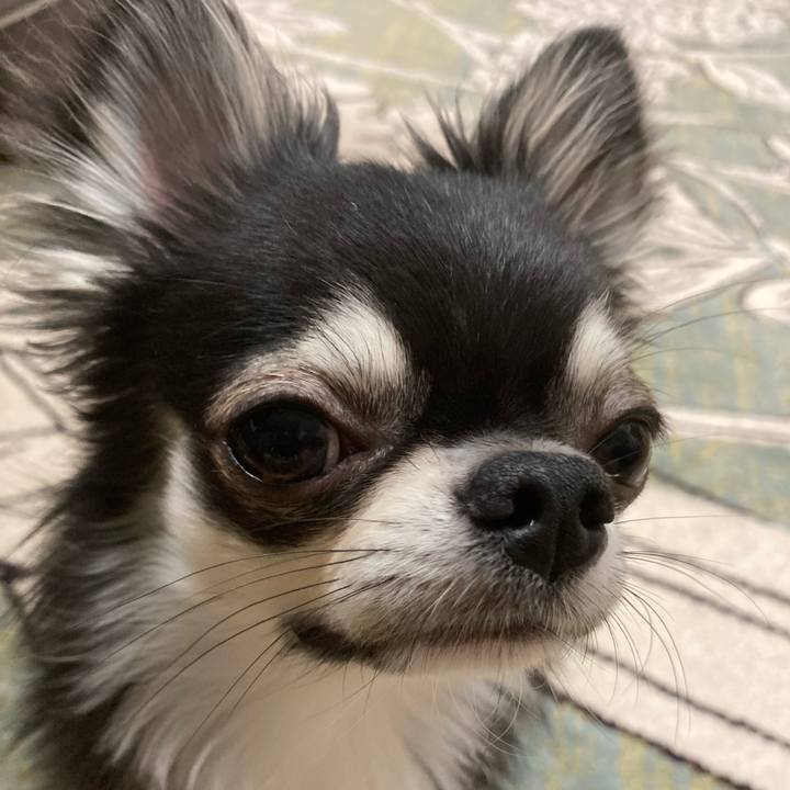 19818909 a022 413f a495 aec18fb1a9eb 1624107451477