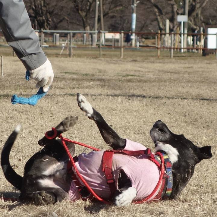 19819547 69b9 4ea3 826e bbdc33d08c7f 1676943135556