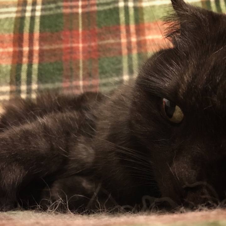 19819e72 e4e0 4390 9763 530381fde356 1537705214187