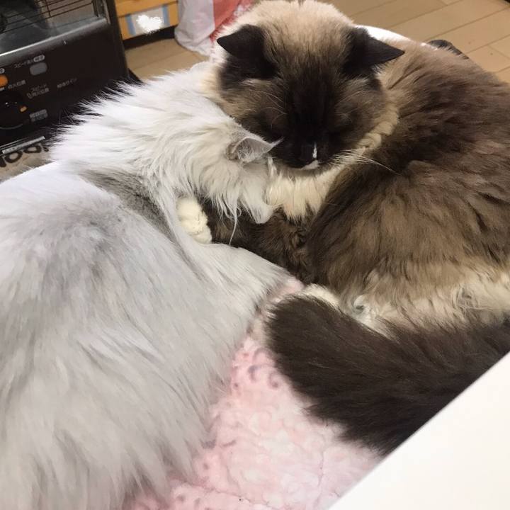 1981a205 d19a 4adf 9a94 fd25934bb65e 1582774254984