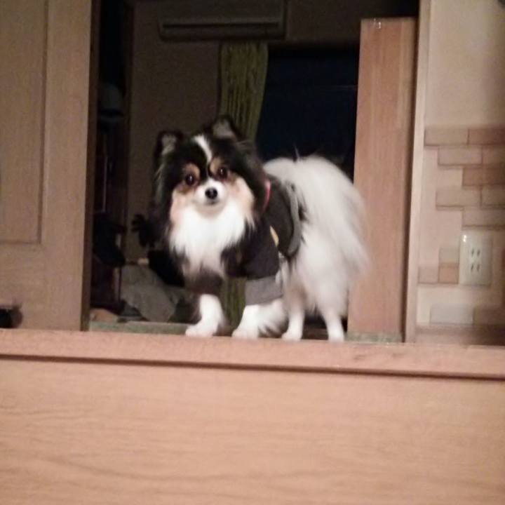 1981f6fb 6a7d 4166 bb15 4ede0b9d8abd 1517483705799