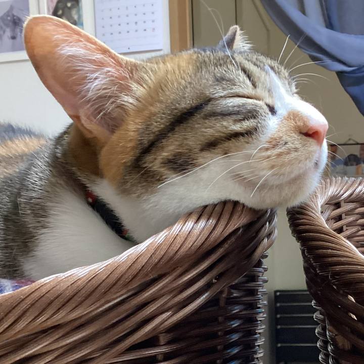 19824301 8739 4c91 8c26 1a30950c16b4 1681100720033