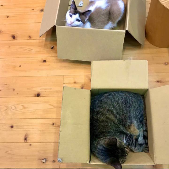 198249d0 52f7 4885 8184 0d08ea7ea9c5 1690856876858