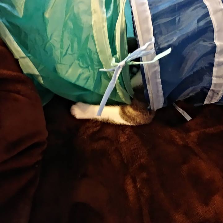 1982607c b57c 4ec6 bc40 365dee31935d 1574903208518