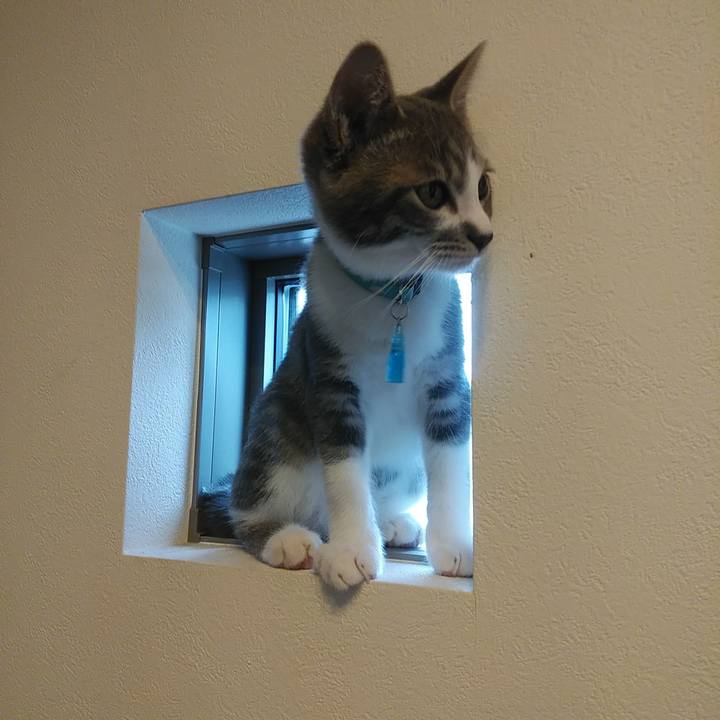 1982a211 e733 4e67 a7cc 340e9afd6ac6 1565243796939