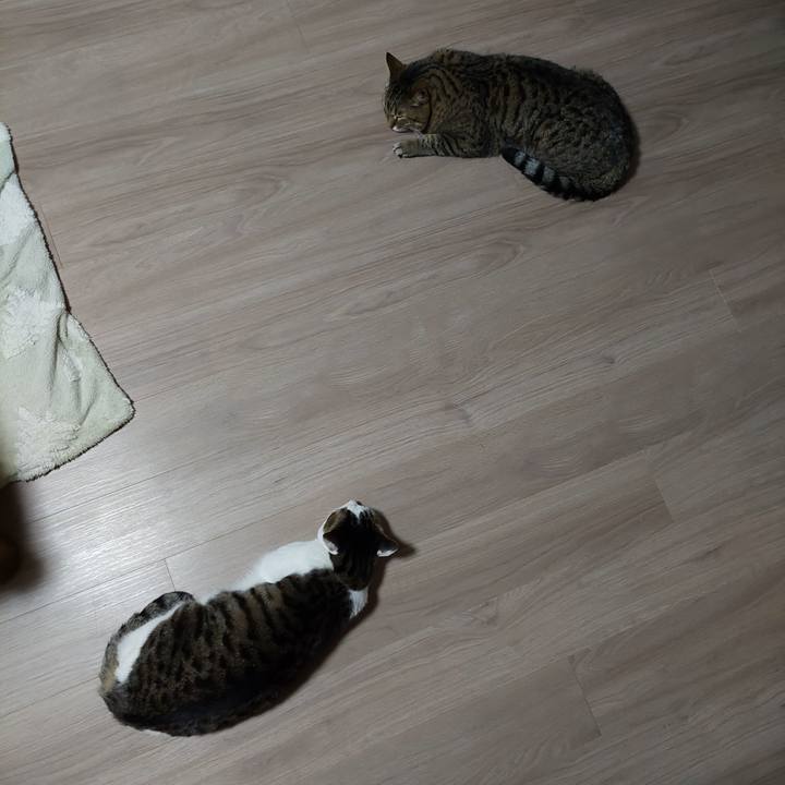 1982b947 5f3b 48da 86bc f1cec7145af8 1735501177089