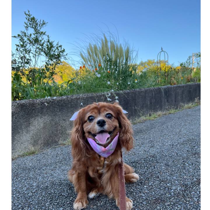 1982bc82 3778 48c5 9c48 c134b807522f 1691710479686