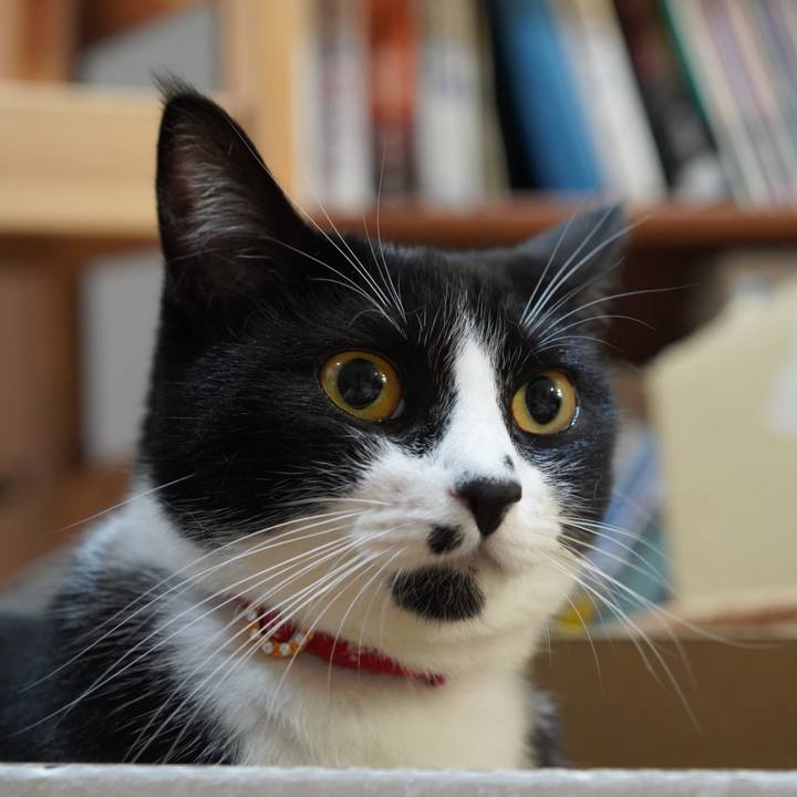 1982d8e6 5c2f 4bae a38d 54694496d71c 1627741410919