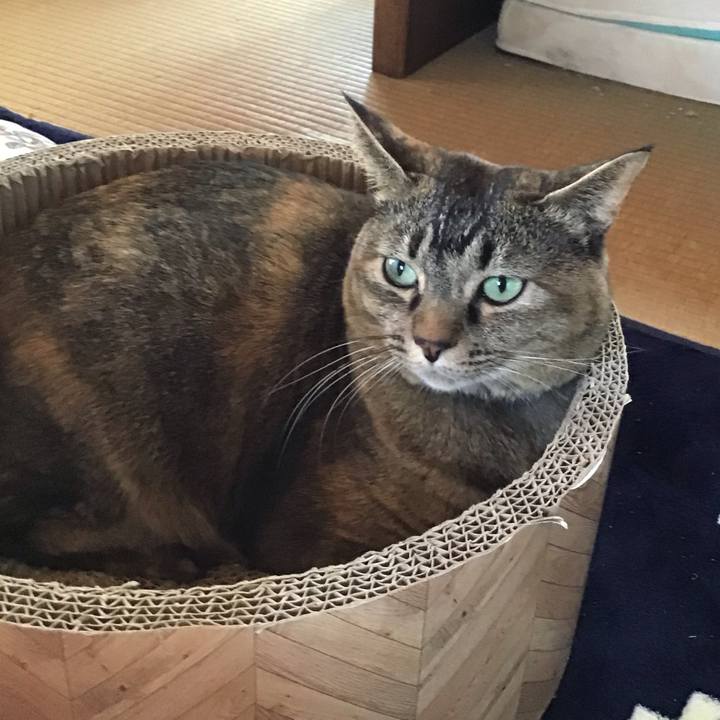 1982f637 903f 4567 8684 d9759583207a 1705638849355