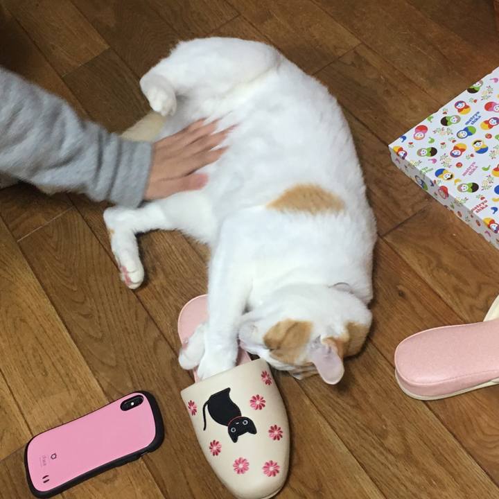 1983043d 745b 43b5 ad91 cb253a754b25 1542980116187