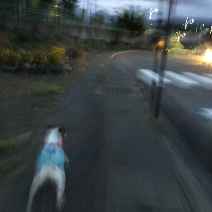 19831068 ef2e 492a bdb7 651fbcf516f6 1599482414338