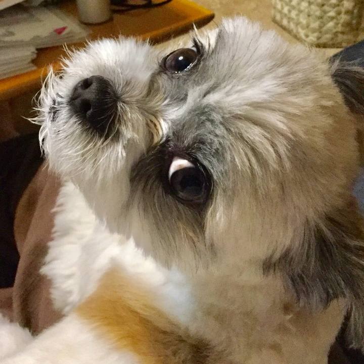 1983817d 1e97 48ae 95f0 6198bcb24b1f 1541762607760