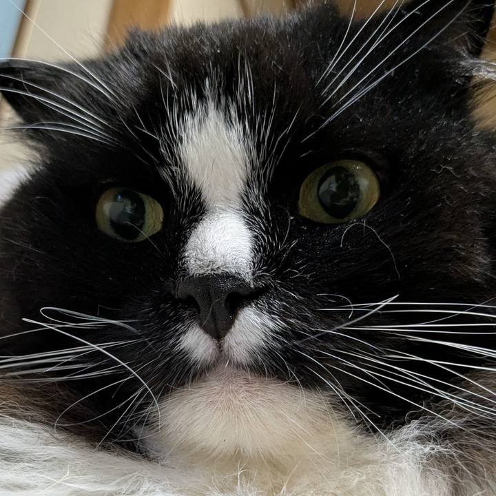 1983d790 0eef 420d b578 0df51f0fe674 1756524969272